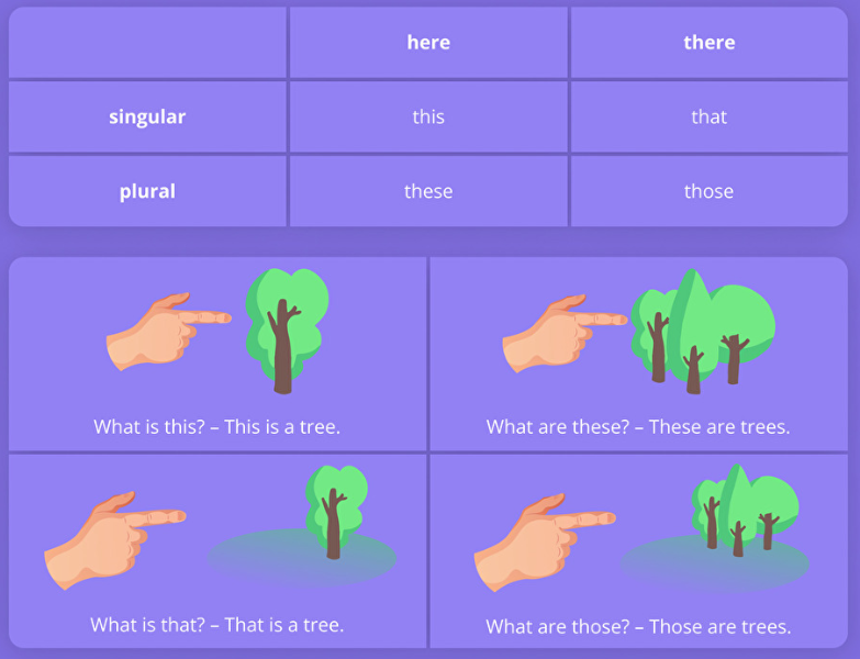 Screenshot 2025-12-12 123914